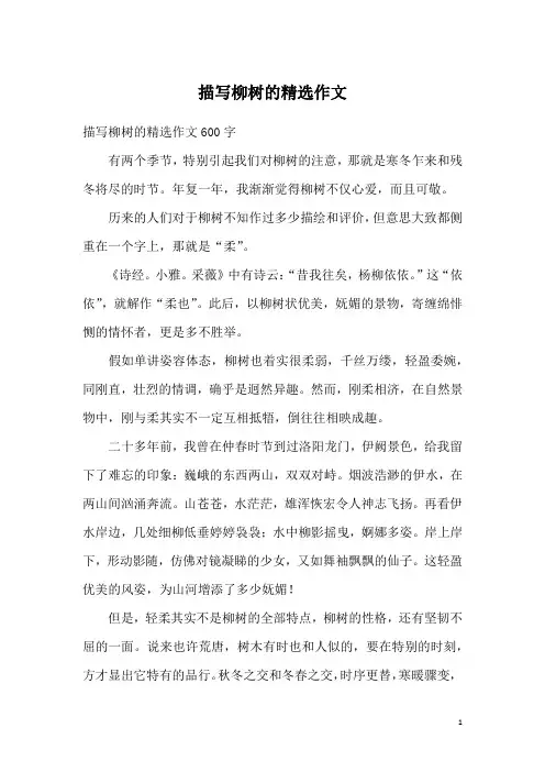 描写柳树的精选作文