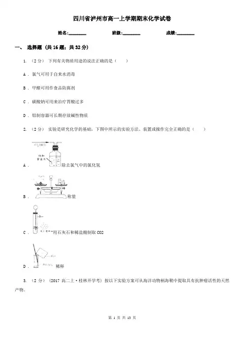 四川省泸州市高一上学期期末化学试卷