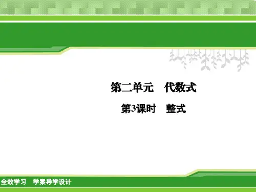 第二单元 代数式第3课时 整式