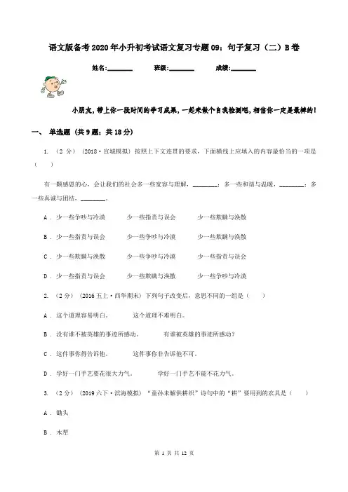 语文版备考2020年小升初考试语文复习专题09：句子复习(二)B卷
