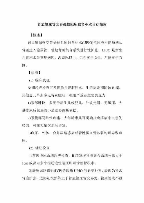 肾盂输尿管交界处梗阻所致肾积水诊疗指南