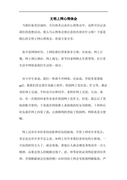 文明上网心得体会