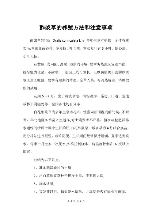 酢浆草的养殖方法和注意事项