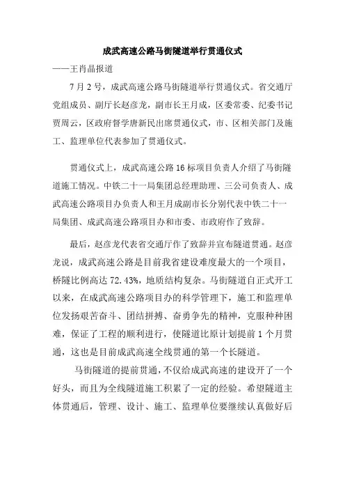 成武高速公路马街隧道举行贯通仪式