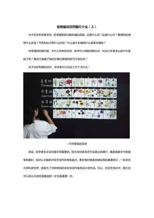 常用插花花材大全(上)