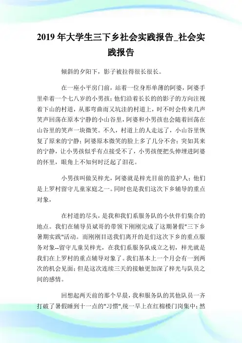 2019年大学生三下乡社会实践报告_社会实践报告.doc