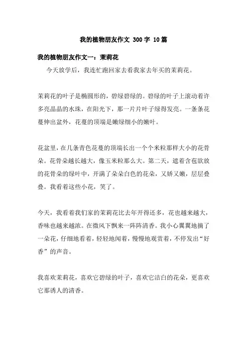 我的植物朋友作文 300字 10篇