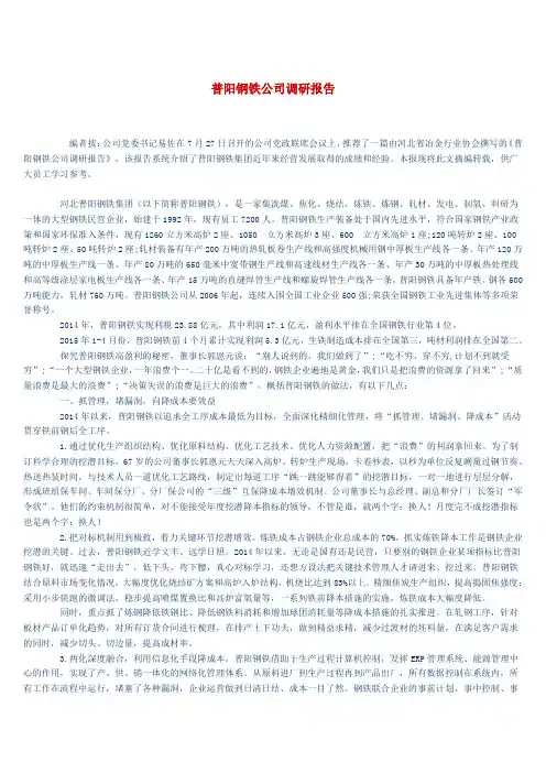 普阳钢铁公司调研报告