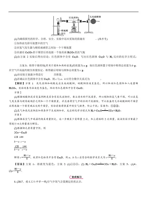 2018年中考化学专题4 实验探究题