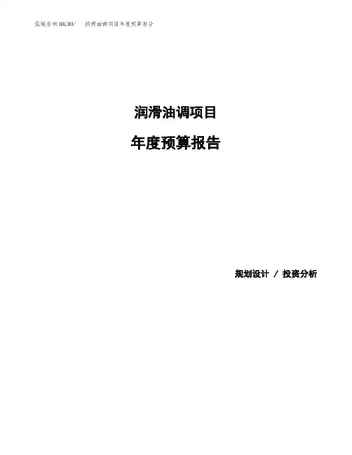 润滑油调项目年度预算报告