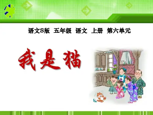 《我是猫》PPT课件三