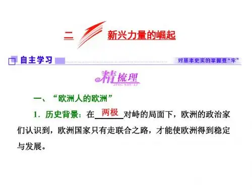 高中历史人民版必修1课件：专题九 二 新兴力量的崛起