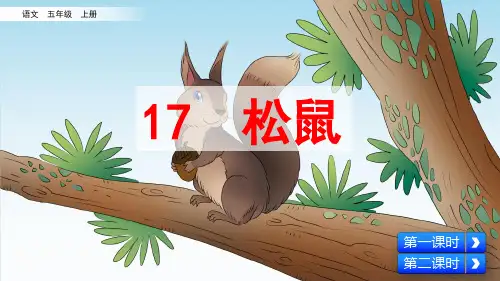 统编版五年级语文上册第17课《松鼠》优质课件