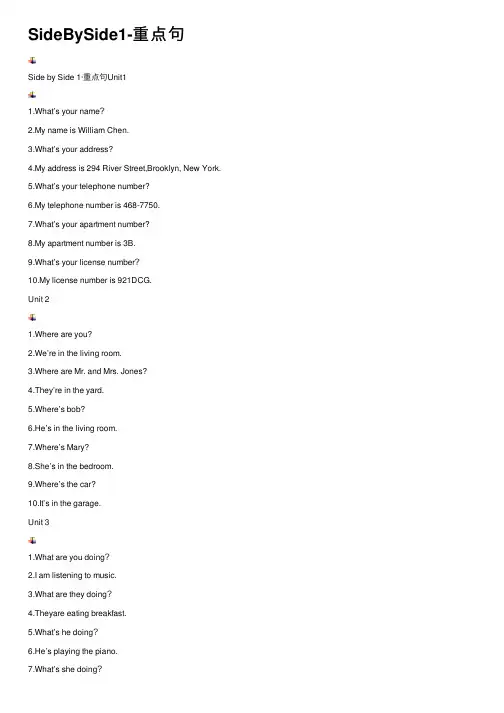 SideBySide1-重点句