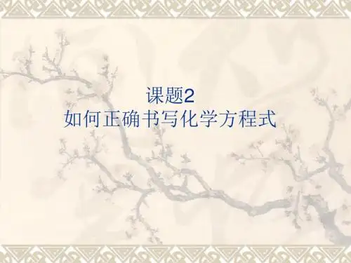 【初中化学】如何正确书写化学方程式PPT课件30 人教版