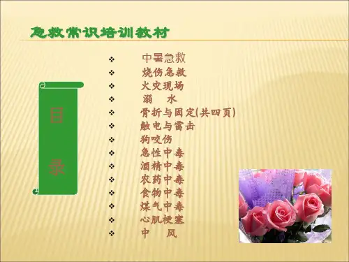 急救常识PPT
