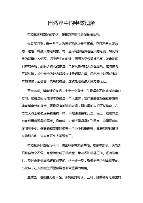 自然界中的电磁现象