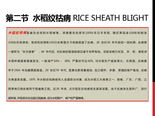 第二节 水稻纹枯病