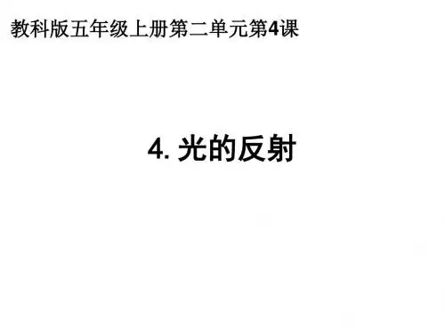2.4光的反射