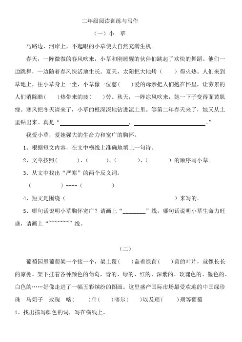 二年级 三年级 《阅读与写作》