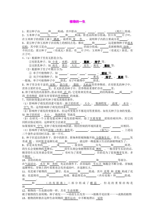 植物的一生