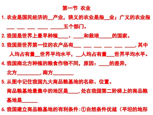 中国的主要产业复习题