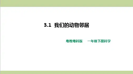 (新教材)粤教版一年级下册科学 4.12 我们的动物邻居 课件