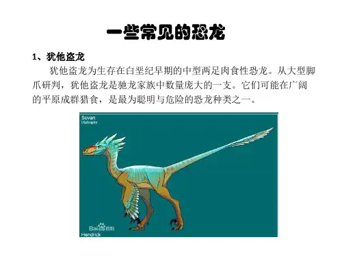 恐龙分类