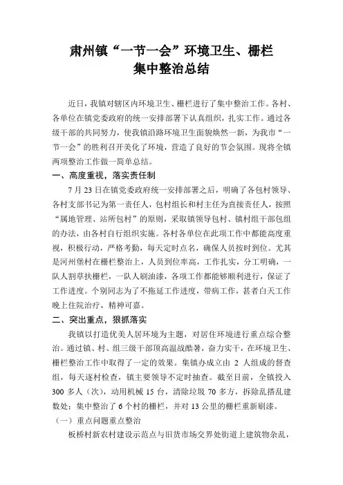 乡镇环境卫生整治工作总结