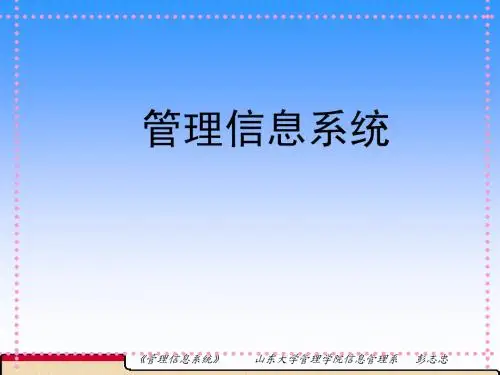 第二章  信息系统的战略作用