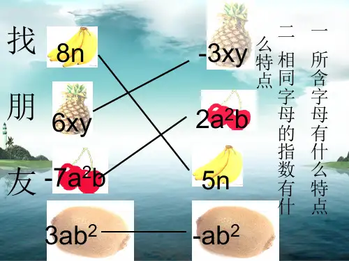 同类项课件