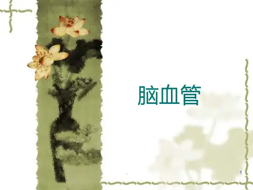 颈内动脉PPT课件