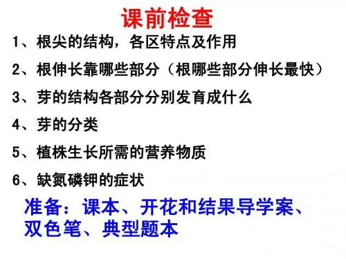 开花和结果 上课