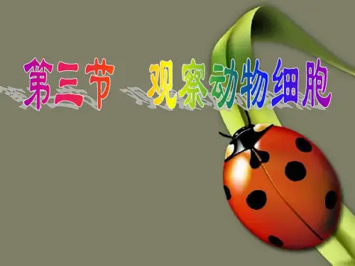 8第三节_动物细胞