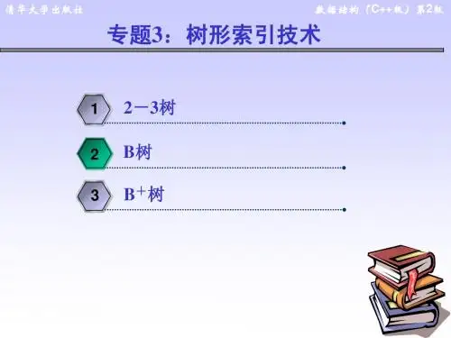 第9章专题3树形索引技术