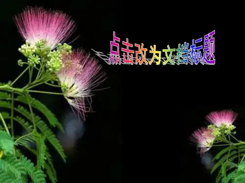 清新鲜花图片,,一套清新鲜花背景图
