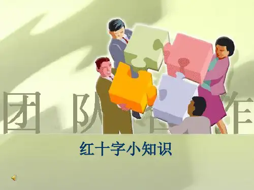 红十字介绍