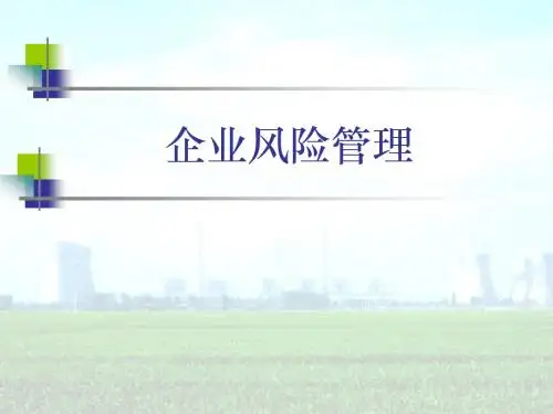 企业风险管理