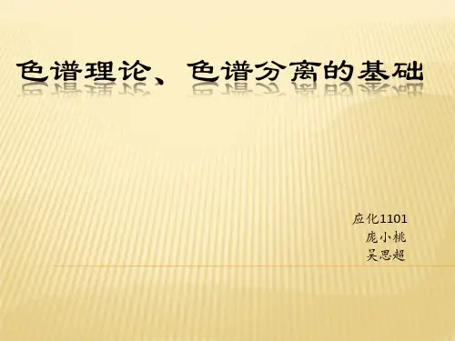 14.色谱理论色谱分离条件