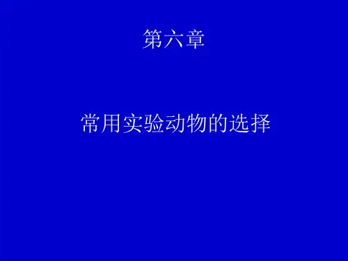 常用实验动物的选择