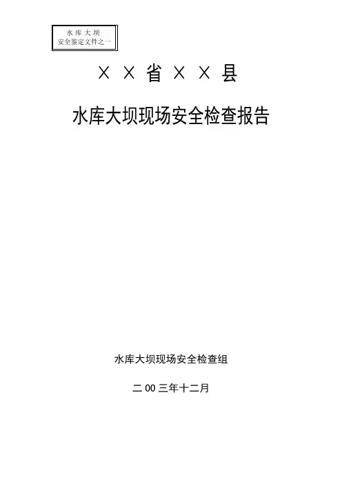 水库大坝现场安全检查报告