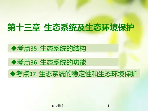 2019版高考生物总复习 第十三章 生态系统及生态环境保护课件