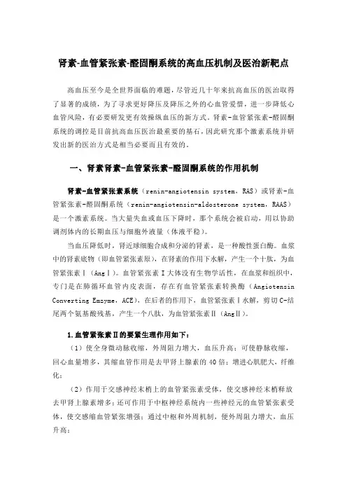 肾素血管紧张素系统与高血压