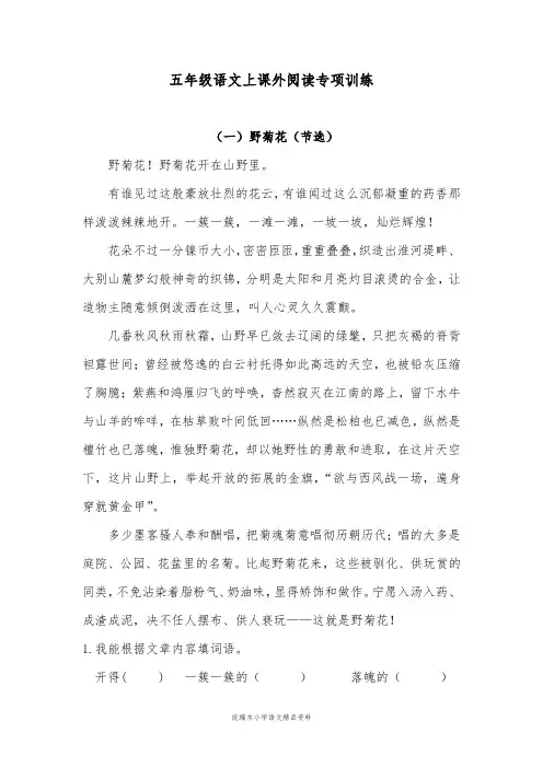统编版2020五年级语文上试题：课外阅读专项训练 含答案   (1)