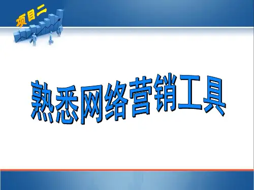网络营销实务2