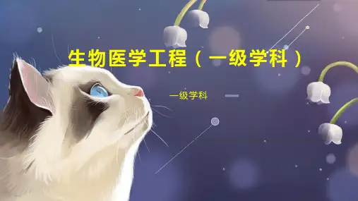 生物医学工程(一级学科)