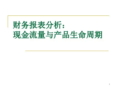 生命周期和现金流量