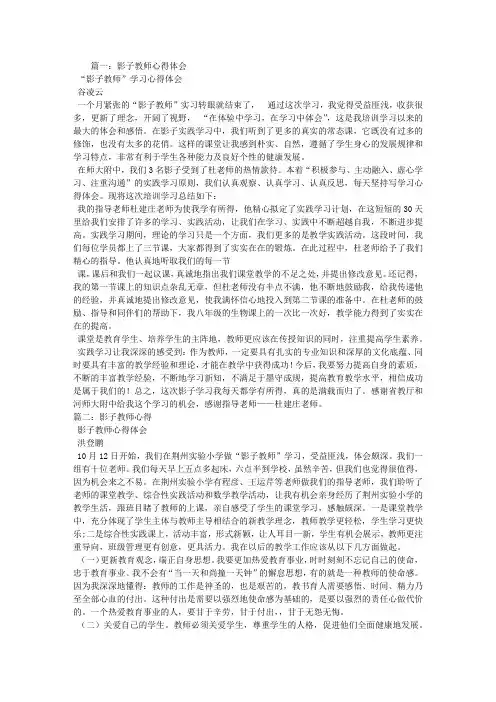 影子老师