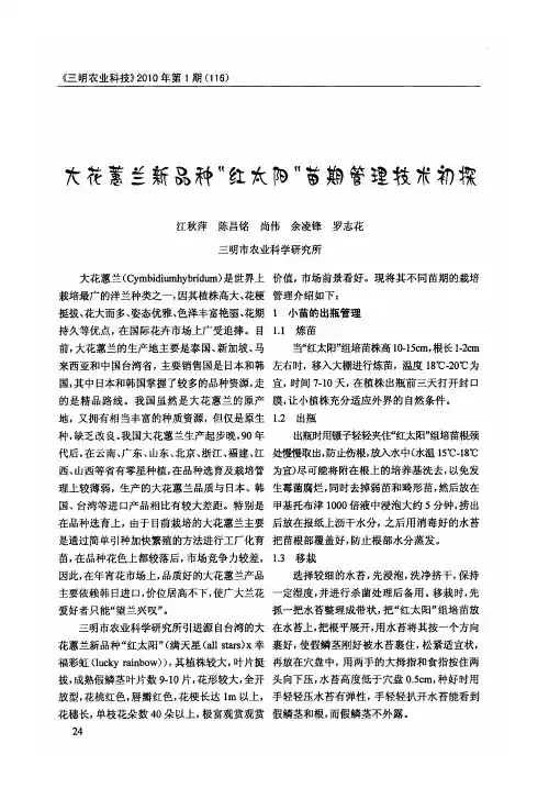 大花蕙兰新品种“红太阳”苗期管理技术初探