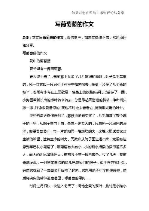 写葡萄藤的作文